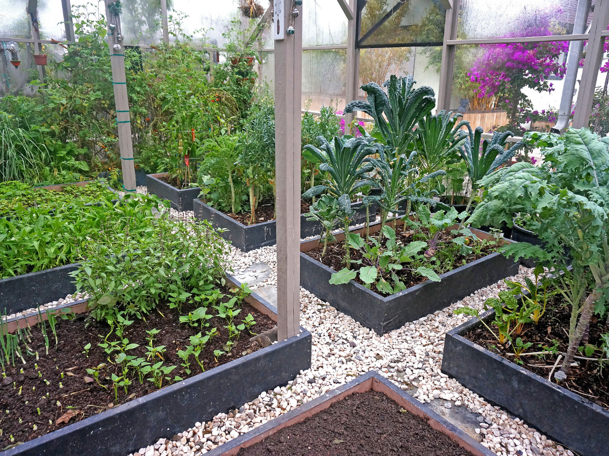 How to Protect Your Winter Crop with Metal Garden Edging?