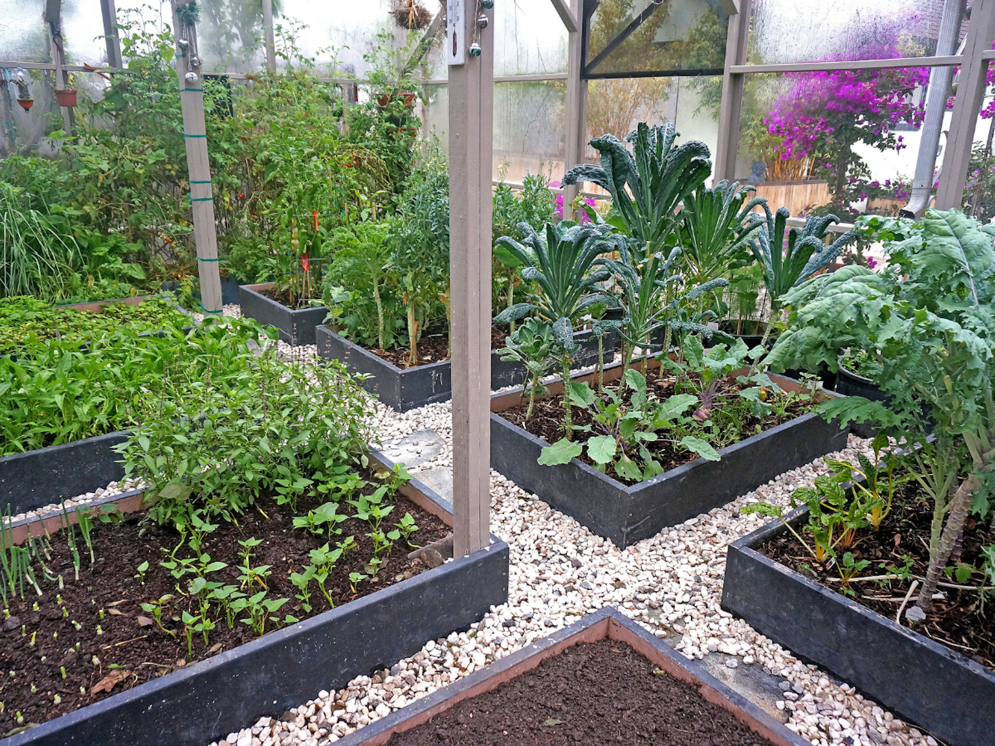 How to Protect Your Winter Crop with Metal Garden Edging