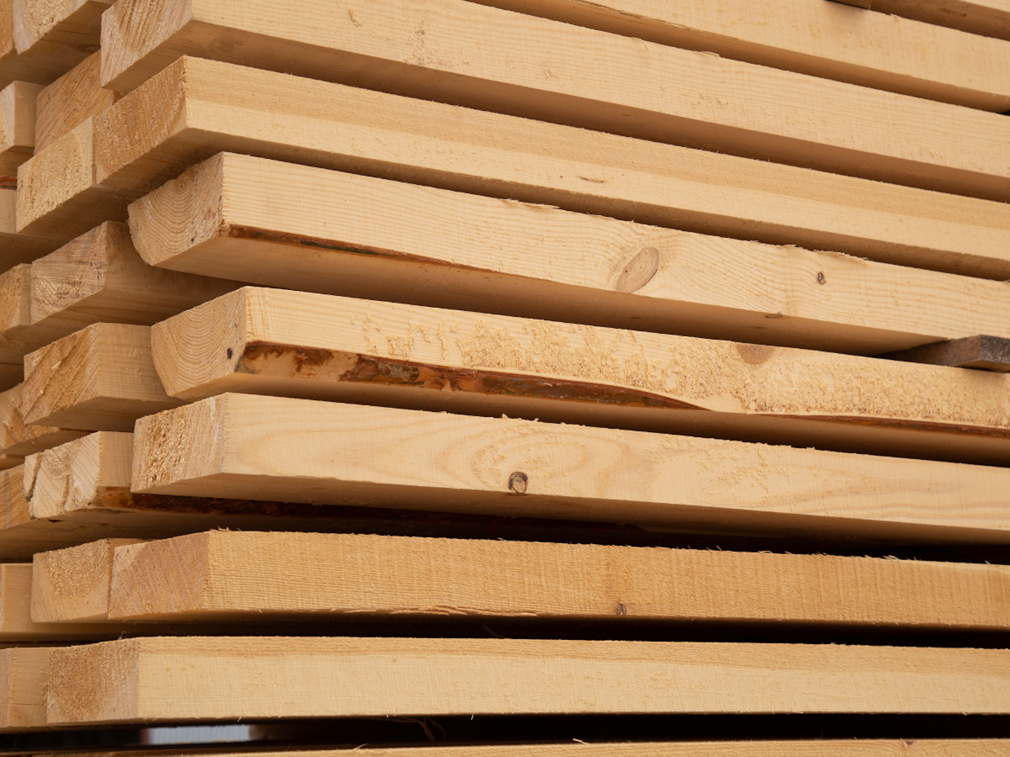 timber edging