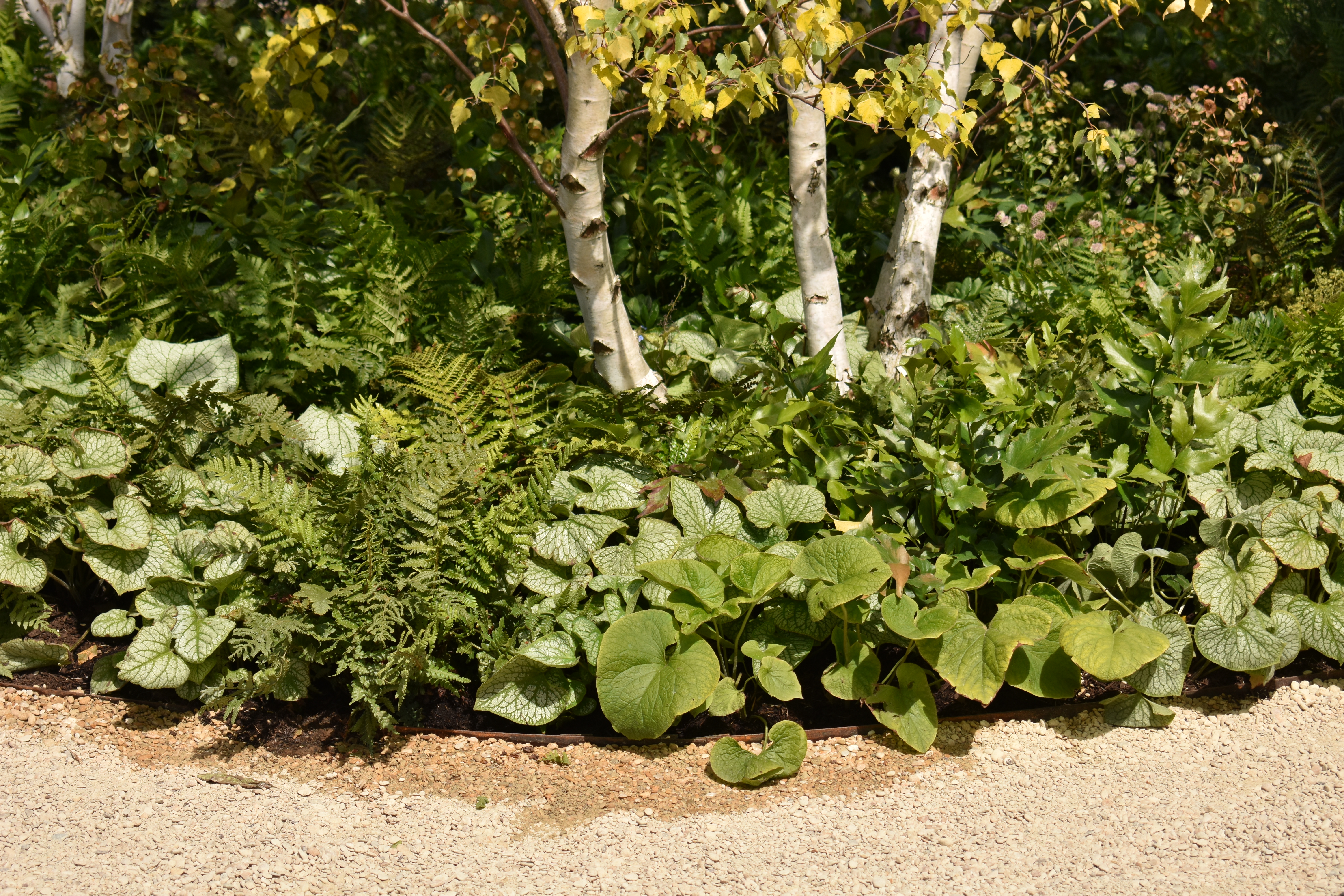 The Environmental Benefits of Metal Garden Edging