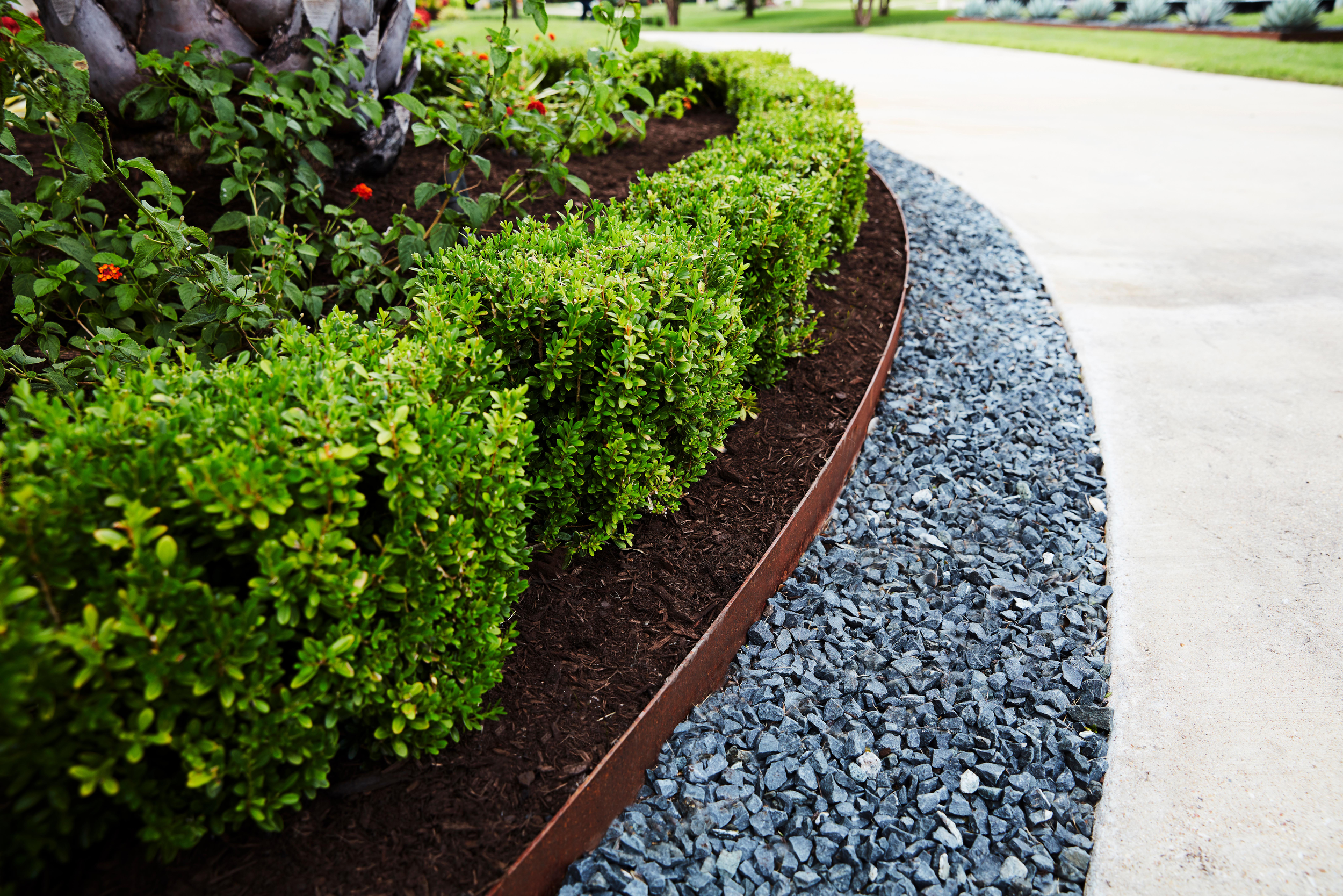 An in-depth Comparison: Metal Lawn Edging vs Plastic, Wood & Stone