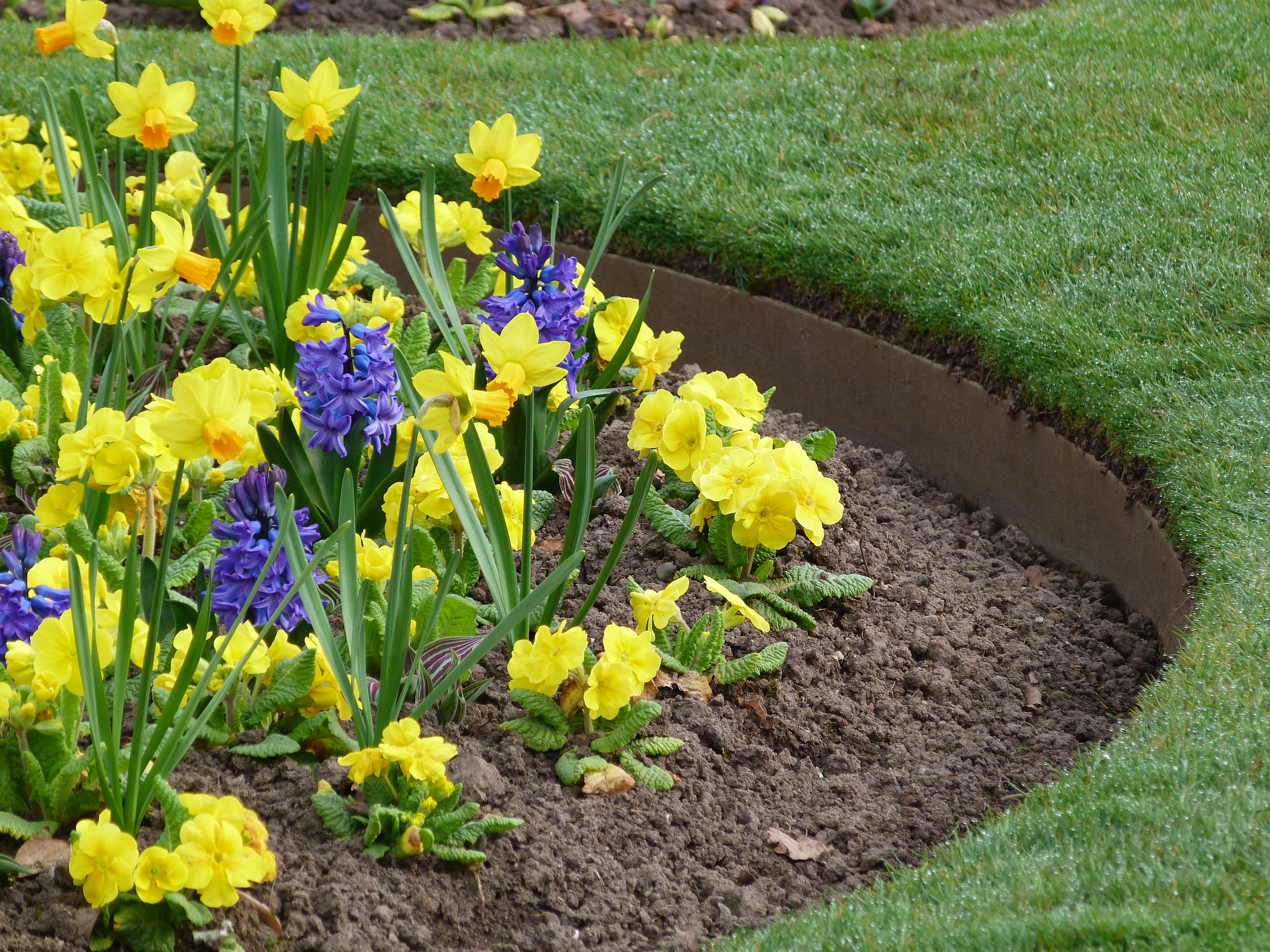 Adding Colour To Your Garden