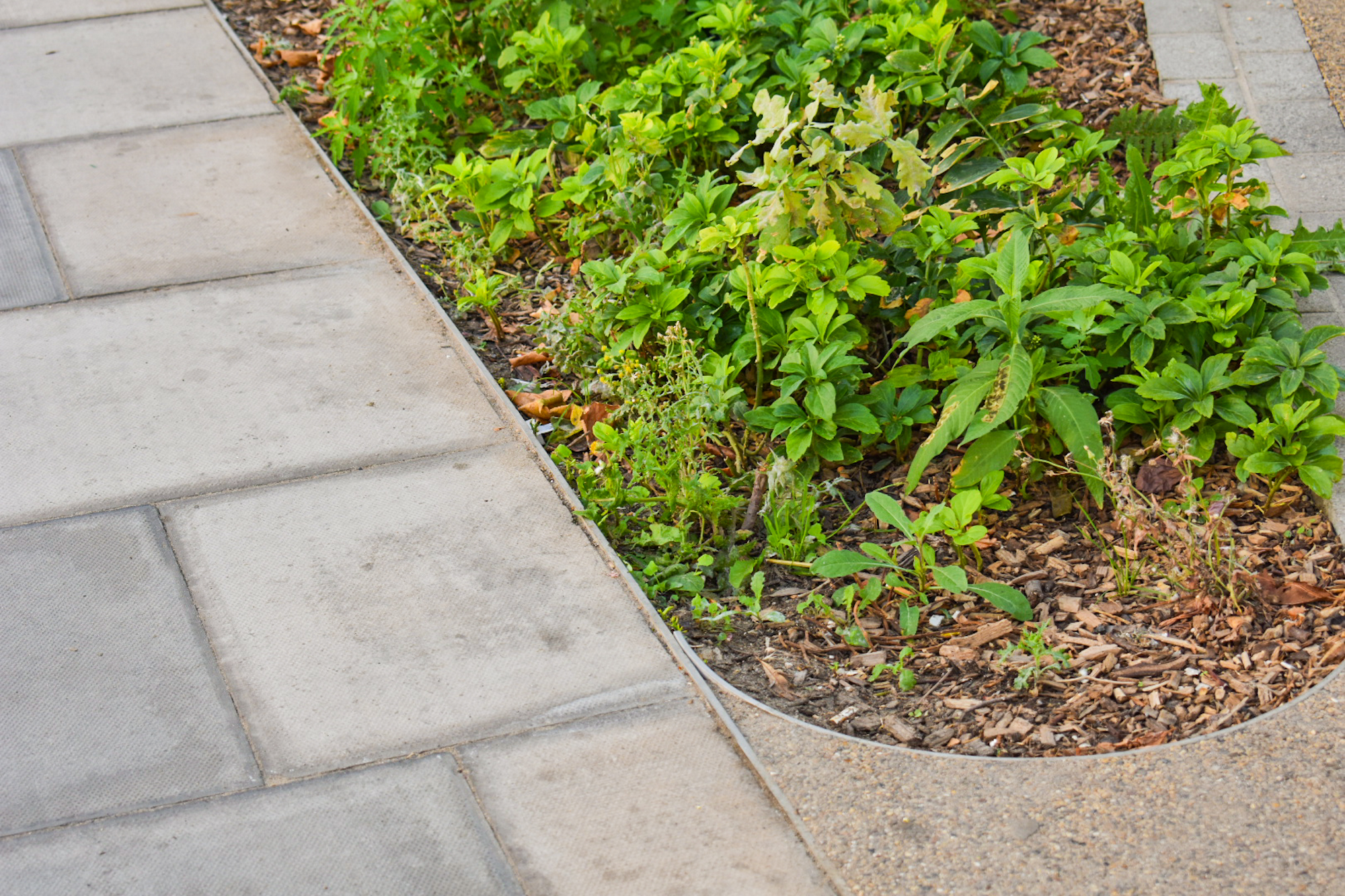 landscape edging public space