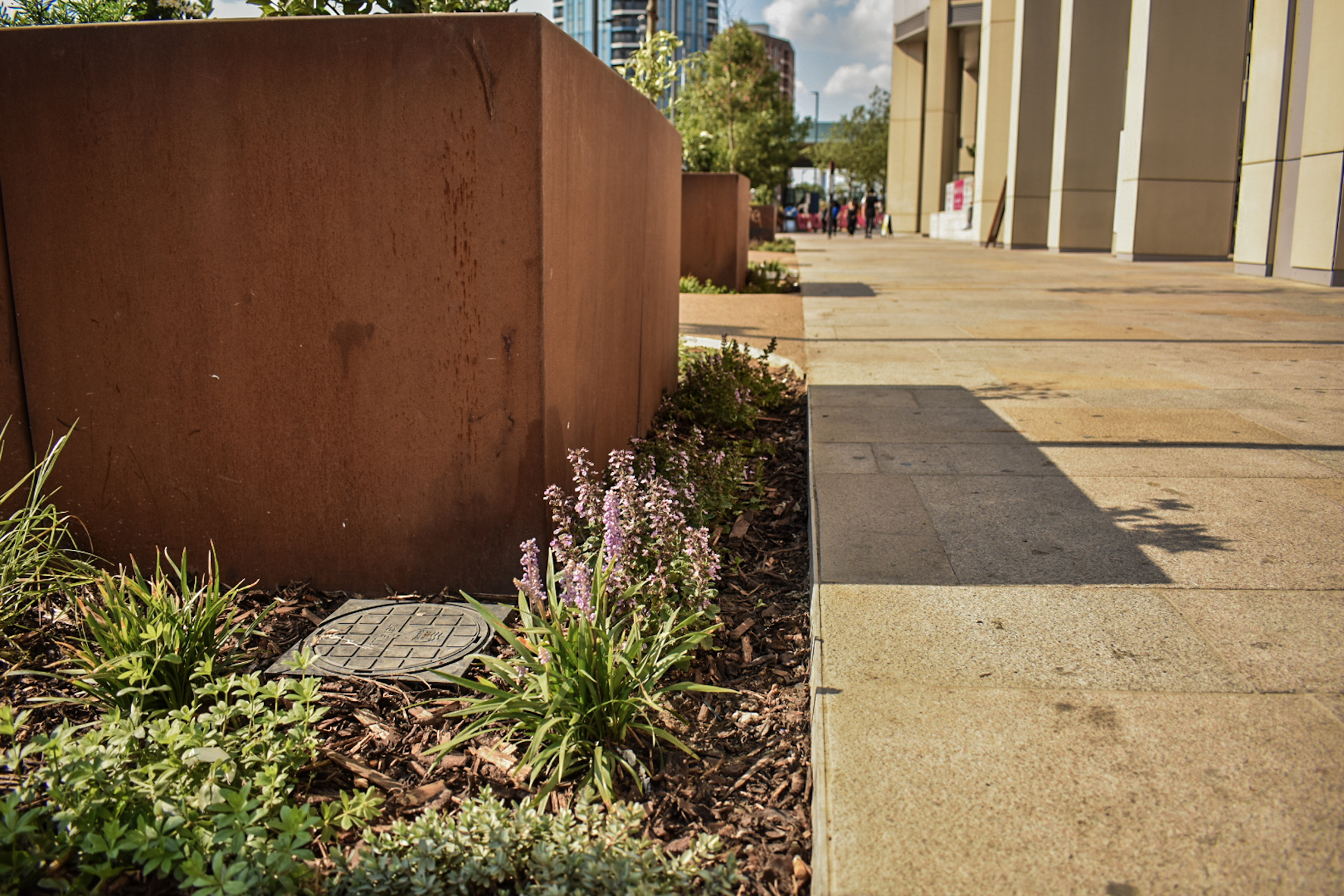 landscape edging